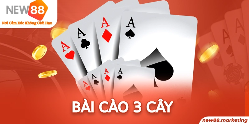 B&agrave;i C&agrave;o 3 C&acirc;y