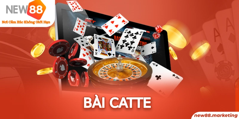 B&agrave;i Catte