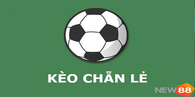 C&aacute;ch đặt k&egrave;o chẵn lẻ: B&iacute; quyết soi k&egrave;o hiệu quả cho người mới New88