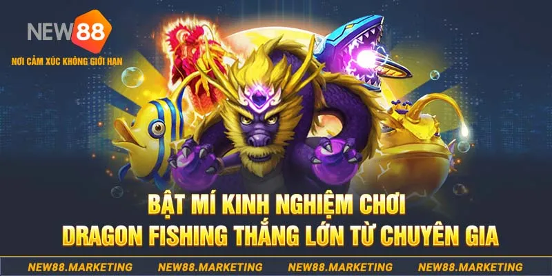 Bật m&iacute; kinh nghiệm chơi Dragon fishing thắng lớn từ chuy&ecirc;n gia&nbsp;