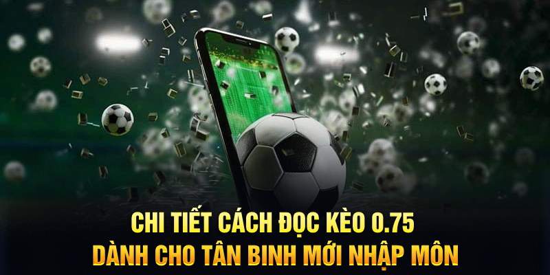 Chi tiết c&aacute;ch đọc k&egrave;o 0.75 d&agrave;nh cho t&acirc;n binh mới nhập m&ocirc;n