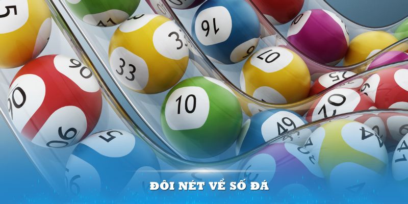 Số đ&aacute; l&agrave; g&igrave;? Cẩm nang về game được t&iacute;ch hợp đầy đủ tại NEW88