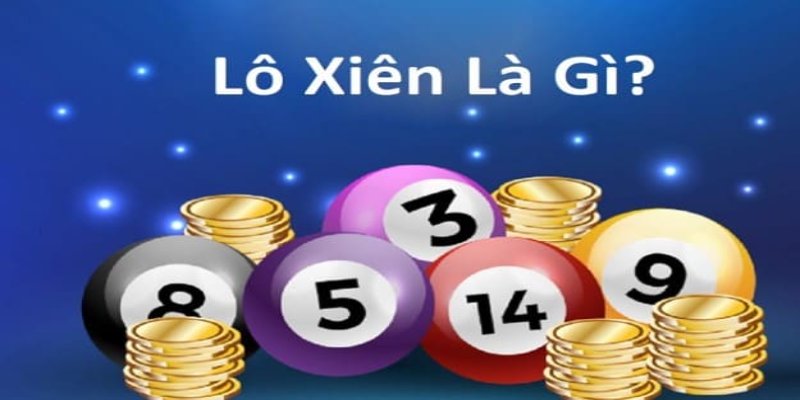 Kh&aacute;i niệm cơ bản về h&igrave;nh thức chọn cầu n&agrave;y