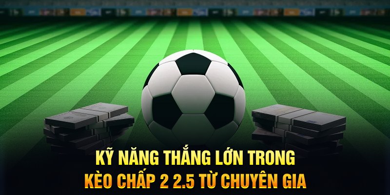 Kỹ năng thắng lớn trong k&egrave;o chấp 2 2.5 từ chuy&ecirc;n gia&nbsp;