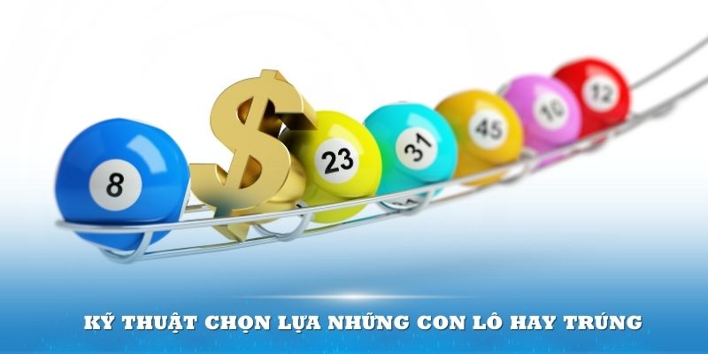 Kỹ thuật chọn lựa những con l&ocirc; hay tr&uacute;ng
