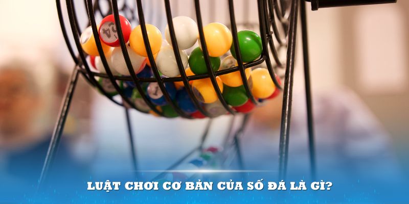 Luật chơi cơ bản của số đ&aacute; l&agrave; g&igrave;?