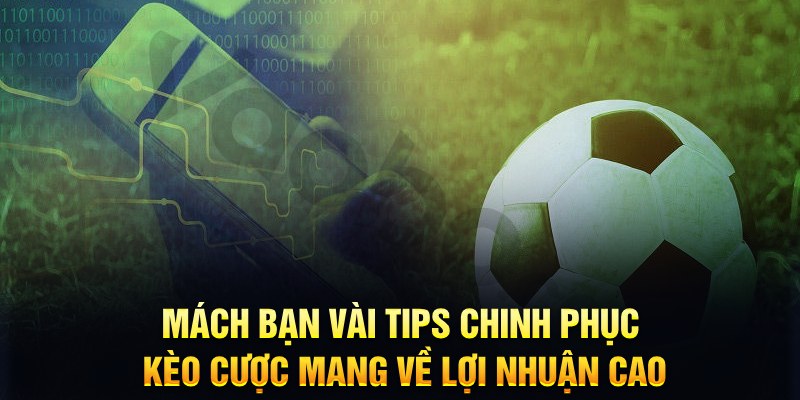 M&aacute;ch bạn v&agrave;i tips chinh phục k&egrave;o cược mang về lợi nhuận cao