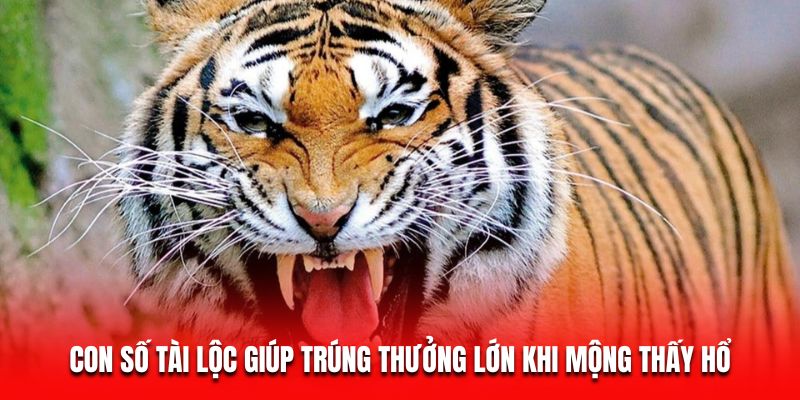 Con số t&agrave;i lộc gi&uacute;p tr&uacute;ng thưởng lớn khi mộng thấy hổ