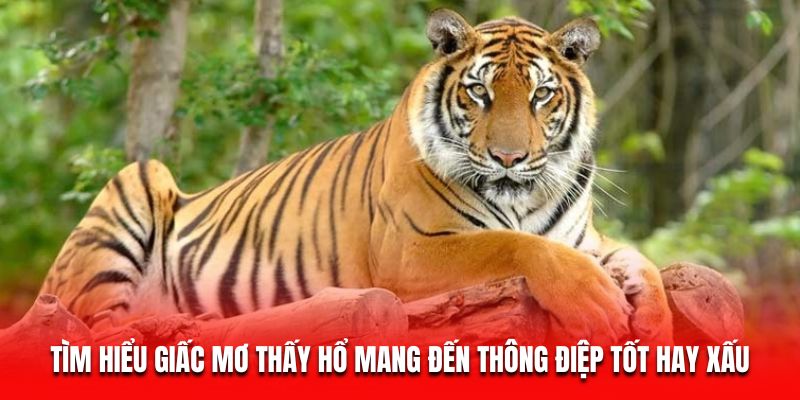 T&igrave;m hiểu giấc mơ thấy hổ mang đến th&ocirc;ng điệp tốt hay xấu