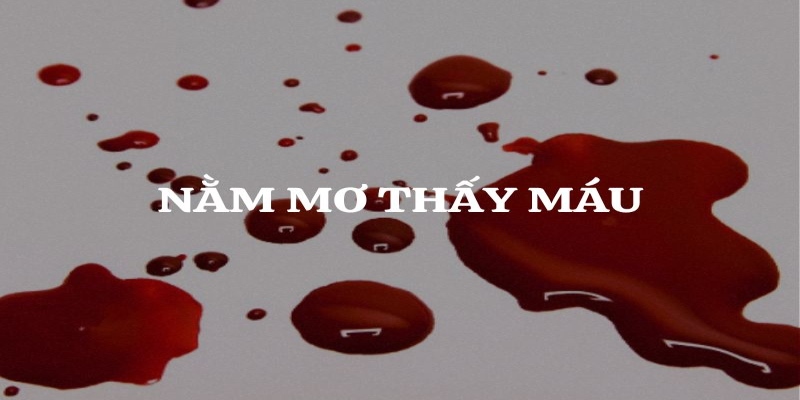 Ngủ mơ thấy m&aacute;u l&agrave; điều thường gặp trong cuộc sống