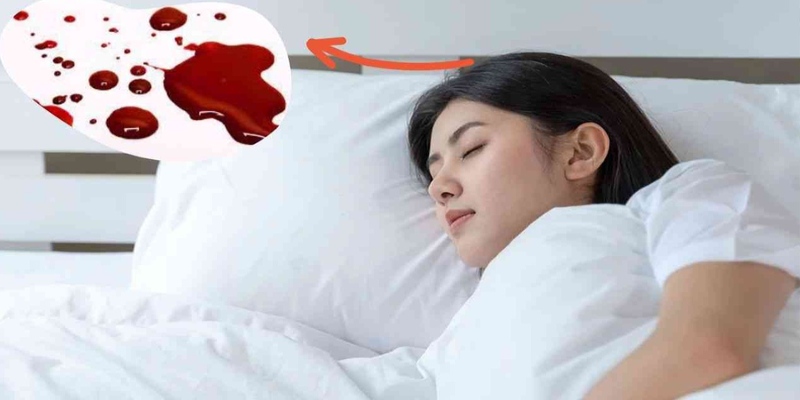 Mơ Thấy M&aacute;u Đ&aacute;nh Con G&igrave;? Điềm B&aacute;o V&agrave; Con Số Chuẩn X&aacute;c
