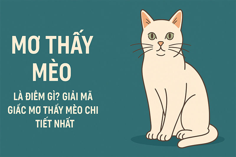 Giải m&atilde; giấc mơ thấy m&egrave;o chi tiết nhất