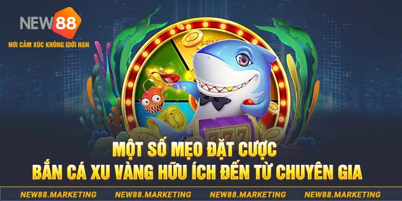 Một số mẹo đặt cược bắn c&aacute; Xu V&agrave;ng hữu &iacute;ch đến từ chuy&ecirc;n gia&nbsp;