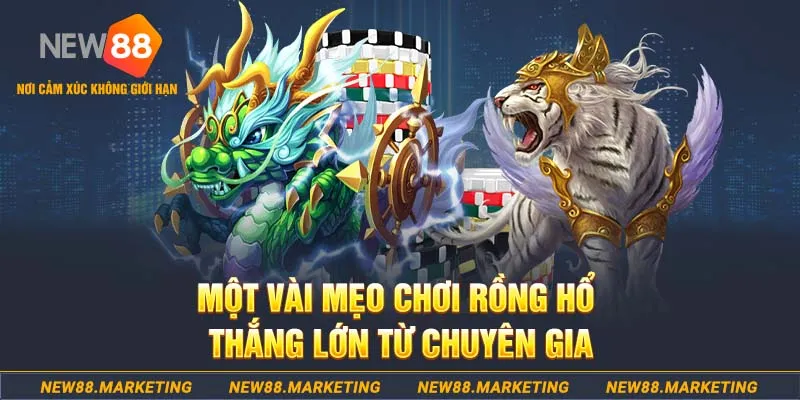 Một v&agrave;i mẹo chơi rồng hổ thắng lớn từ cao thủ