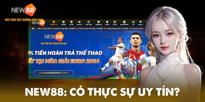 Tổng quan về nh&agrave; c&aacute;i NEW88