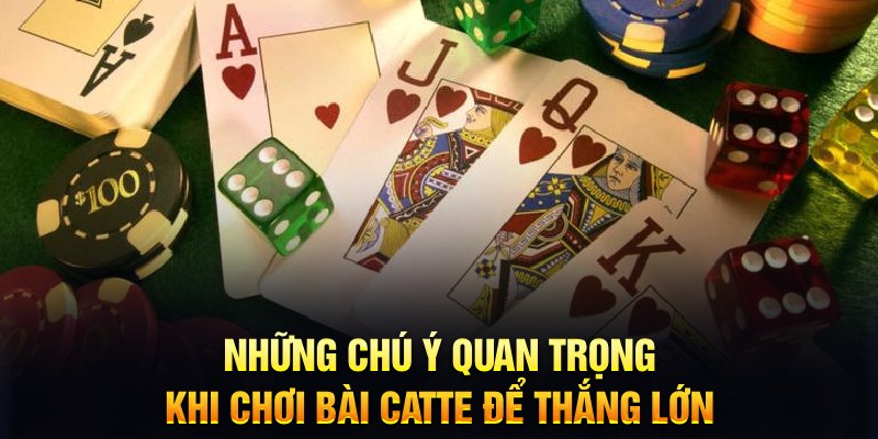 Những ch&uacute; &yacute; quan trọng khi chơi b&agrave;i Catte để thắng lớn&nbsp;