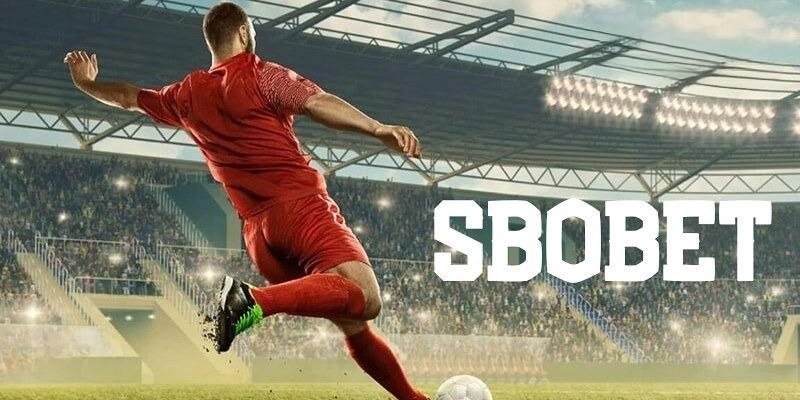 SBOBET Sport&nbsp; - Sảnh c&aacute; cược thể thao New88 cực hấp dẫn