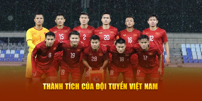 Th&agrave;nh t&iacute;ch tuyển Việt Nam