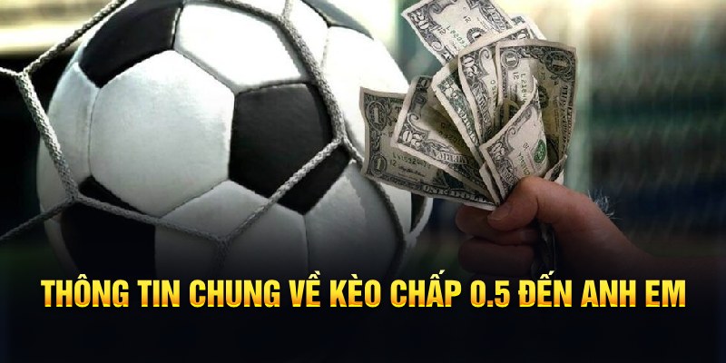 Th&ocirc;ng tin chung về k&egrave;o chấp 0.5 đến anh em