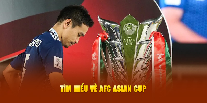 T&igrave;m hiểu về AFC Asian Cup