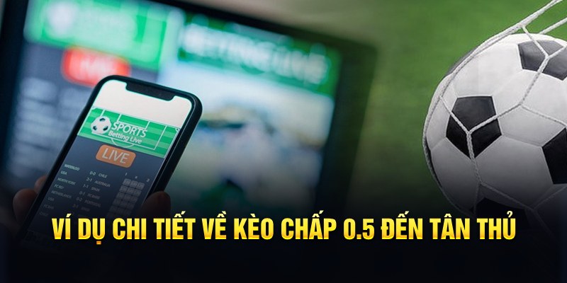 V&iacute; dụ chi tiết về k&egrave;o chấp 0.5 đến t&acirc;n thủ